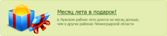 Месяц лета в подарок